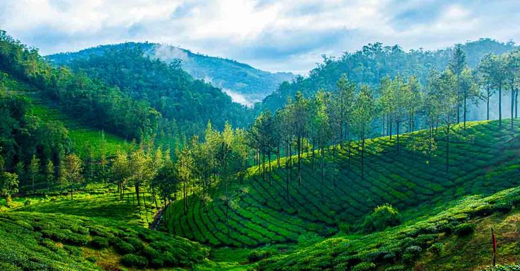 Munnar & Kanthaloor - 3D/2N