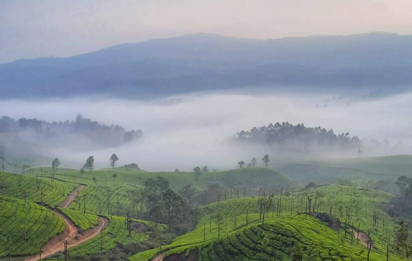 Munnar Adventure - 2D/1N