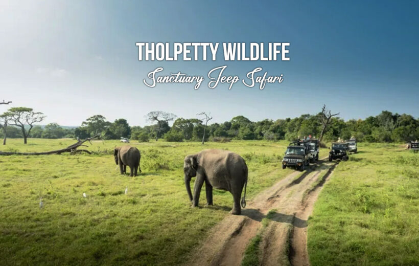 Wild Serenity: Exploring Tholpetty's Untamed Beauty in Wayanad - 3D/2N